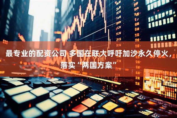 最专业的配资公司 多国在联大呼吁加沙永久停火，落实“两国方案”