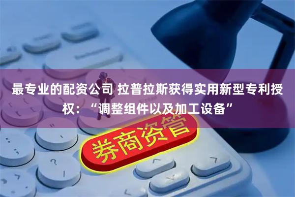 最专业的配资公司 拉普拉斯获得实用新型专利授权：“调整组件以及加工设备”